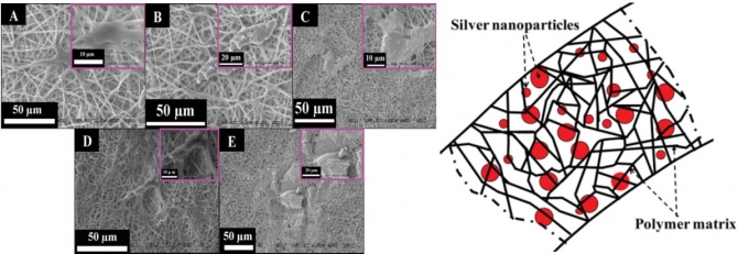 Self Synthesize of Silver Nanoparticles in/on Polyurethane Nanofibers: Nano-Biotechnological Approach