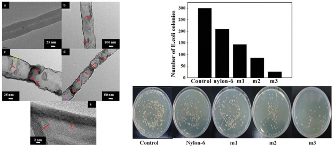 Interior Synthesizing of ZnO Nanoflakes Inside Nylon-6 Electrospun Nanofibers