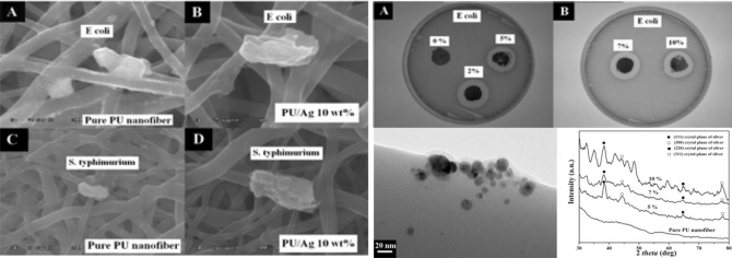 Electrospun Antimicrobial Polyurethane Nanofibers Containing Silver Nanoparticles for Biotechnological Applications 