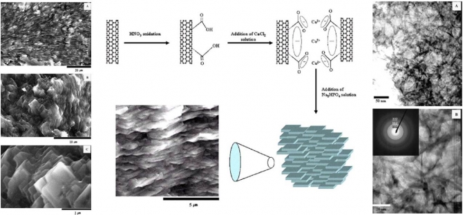 Synthesis and characterization of hydroxyapatite using carbon nanotubes as a nano-matrix