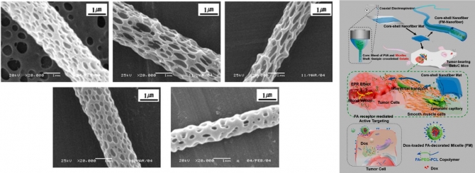 Electrospun nanofibers: new generation materials for advanced applications