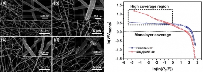 Hierarchical porous carbon nanofibrous membranes with an enhanced shape memory property for effective adsorption of proteins