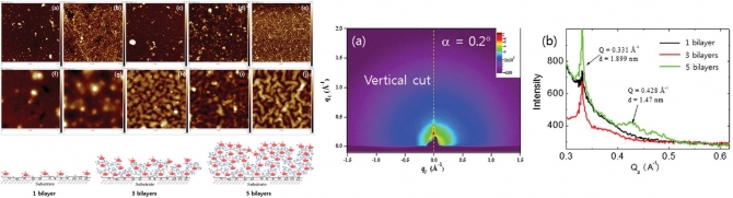 Hierarchically Assembled Nanofibers Created by a Layer-by-Layer Self-Assembly