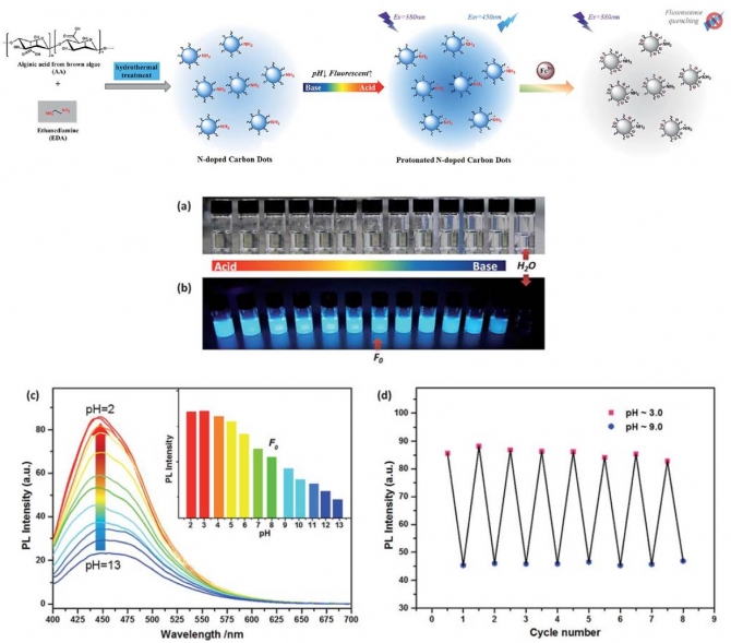 One-step synthesis of robust nitrogen-doped carbon dots: acid-evoked fluorescence enhancement and their application in Fe3+ detection