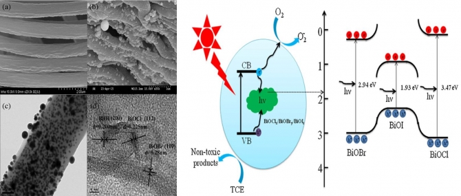 In-situ synthesis of nanofibers with various ratios of BiOClx/BiOBry/BiOIz for effective trichloroethylene photocatalytic degradation