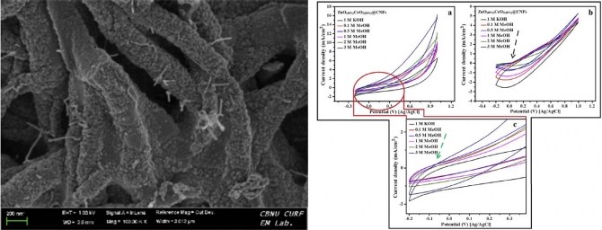 Nano-engineered ZnO/CeO2 dots@CNFs for fuel cell application