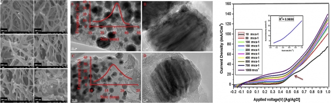 Cobalt-incorporated, nitrogen-doped carbon nanofibers as effective non-precious catalyst for methanol electrooxidation in alkaline medium