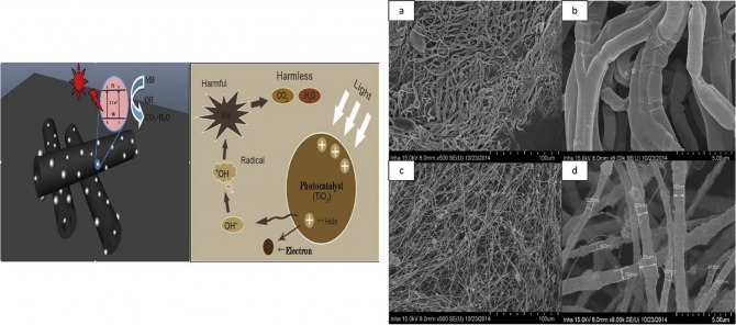 Effect of TiO2 on photocatalytic activity of polyvinylpyrrolidone fabricated via electrospinning