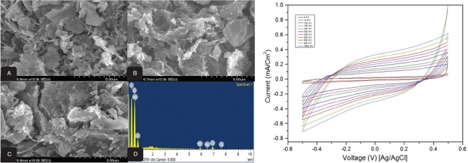 Synthesis and Electrochemical Properties of MnO2 and Co-Decorated Graphene as Novel Nanocomposite for Electrochemical Super Capacitors Application