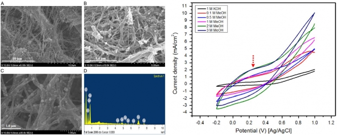 Co/CeO2-decorated carbon nanofibers as effective non-precious electro-catalyst for fuel cells application In alkaline medium