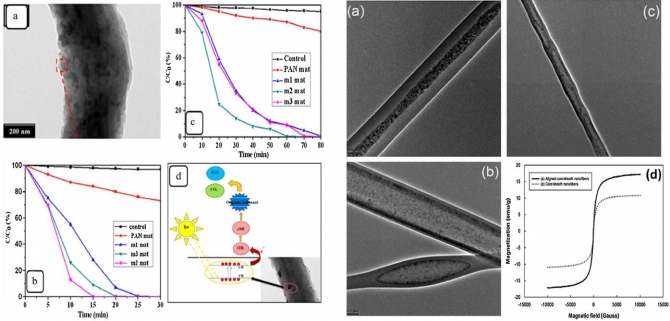 Electrospun polymeric nanofibers encapsulated with nanostructured materials and their applications: A review