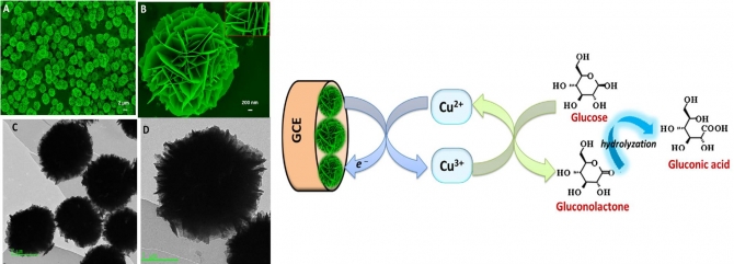 A novel CuS microflower superstructure based sensitive and selective nonenzymatic glucose detection