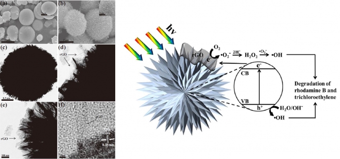 Preparation of flower-like TiO2 sphere/reduced graphene oxide composites for photocatalytic degradation of organic pollutants