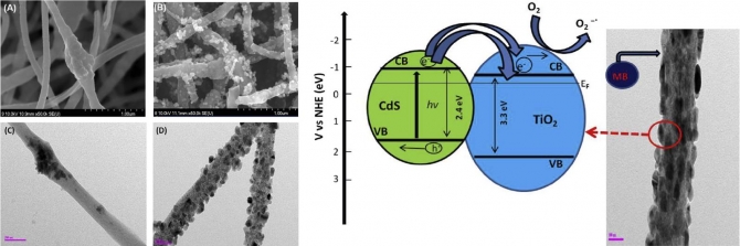 Synthesis and photocatalytic activities of CdS/TiO2 nanoparticles supported on carbon nanofibers for high efficient adsorption and simultaneous decomposition of organic dyes