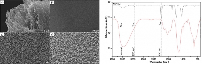 Facile fabrication of hierarchical cellulose nanospicules via hydrolytic hydrogenation