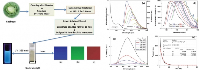 Synthesis of carbon quantum dots from cabbage with down- and up-conversion photoluminescence properties: excellent imaging agent for biomedical applications
