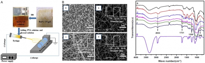 Preparation and characterization of chitosan-based nanofibers by ecofriendly electrospinning