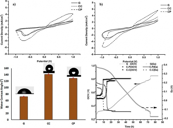 Graphite Sheets as High-Performance Low-Cost Anodes for Microbial Fuel Cells Using Real Food Wastewater