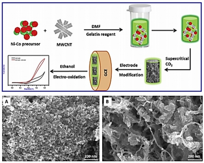 Novel MWCNT interconnected NiCo2O4 aerogels prepared by a supercritical CO2 drying method for ethanol electrooxidation in alkaline media