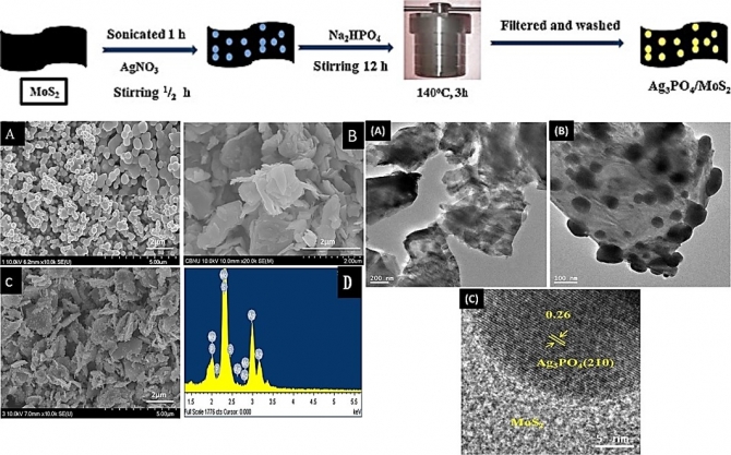 One-pot synthesis of Ag3PO4/MoS2 nanocomposite with highly efficient photocatalytic activity
