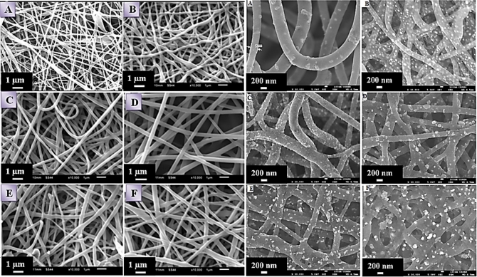 Influence of nitrogen doping on the catalytic activity of ni-incorporated carbon nanofibers for alkaline direct methanol fuel cells