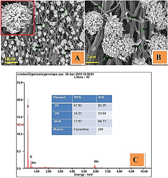 Capacitance of MnO2 Micro-Flowers Decorated CNFs in Alkaline Electrolyte and Its Bi-Functional Electrocatalytic Activity toward Hydrazine Oxidation